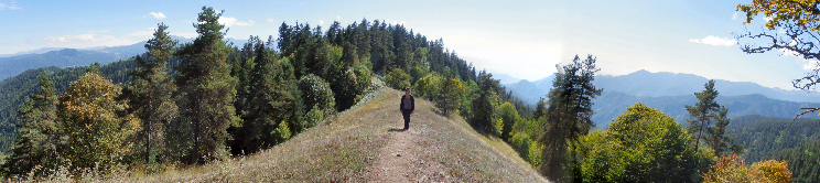 Ruta 6, Parque Nacional de Borjomi