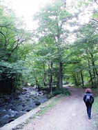Camí cap a les Piscines d'aigües termals en Borjomi Mineral Water Park