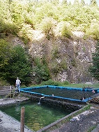 Piscina de aguas termales en Borjomi Mineral Water Park
