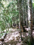 Parque Nacional de Borjomi