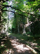 Parque Nacional de Borjomi