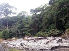 Desolaci al voltant de les pailas d'aigua freda, Parque Nacional Rincón de la Vieja