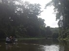 Paseo en canoa por los canales del Parque Nacional Tortuguero