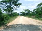 Carretera entre Ishasha y Mweya