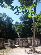 Ruïnes maies de Calakmul