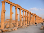 La gran columnata, ruinas romanas de Palmyra