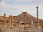 Campo de Diocleciano, ruinas romanas de Palmyra