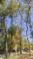 Drilon National Park