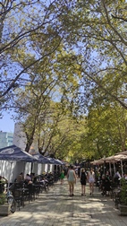 Shetitorja Murat Toptani