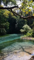Blue Eye Spring