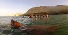 Inmersin con lobos marinos en Puerto Madryn