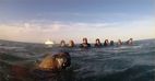 Inmersión con lobos marinos en Puerto Madryn