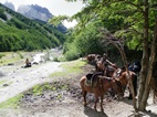 Caballos junto al refugio El Chileno