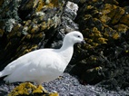 Navegaci&oacute;n en el canal Beagle con el velero IF de Tres Mar&iacute;as