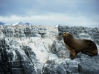 Navegaci&oacute;n en el canal Beagle con el velero IF de Tres Mar&iacute;as