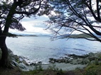 Ensenada Zaratiegui, Parque Nacional Tierra de Fuego