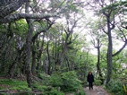 Senda costanera, Parque Nacional Tierra de Fuego