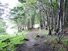 Senda costanera, Parque Nacional Tierra de Fuego