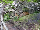 Senda costanera, Parque Nacional Tierra de Fuego