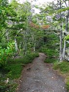 Parque Nacional Tierra de Fuego