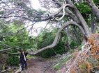 Senda costanera, Parque Nacional Tierra de Fuego