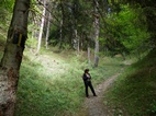 Ruta 7, Parque Nacional de Borjomi