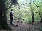 Ruta 7, Parque Nacional de Borjomi