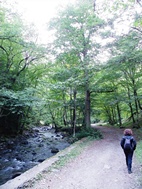 Camino hacia las Piscinas de aguas termales en Borjomi Mineral Water Park