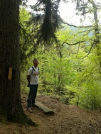 Parque Nacional de Borjomi