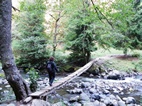 Camino hacia las Piscinas de aguas termales en Borjomi Mineral Water Park
