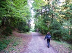 Ruta 1, Parque Nacional de Borjomi