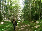 Ruta 1, Parque Nacional de Borjomi