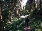 Parque Nacional de Borjomi