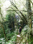 Ruta 1, Parque Nacional de Borjomi