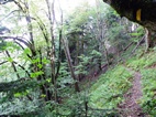 Ruta 1, Parque Nacional de Borjomi