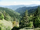 Ruta 6, Parque Nacional de Borjomi