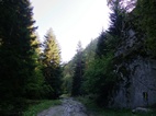 Ruta 6, Parque Nacional de Borjomi