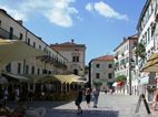 Kotor