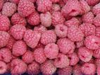 Moras en el Mercado de Sarajevo