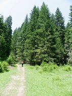 Durmitor NP
