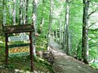 Biogradska Gora NP