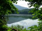Biogradska Gora NP