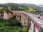 Tara Bridge