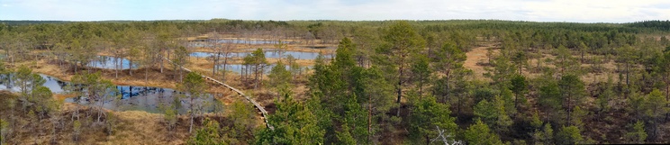 Viru Bog Nature Trail, Lahemaa NP