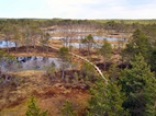 Viru Bog Nature Trail, Lahemaa NP