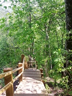 Camino entre los castillos de Krimulda y Turaida