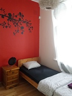 Habitación individual en Viru Backpackers