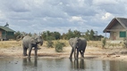 Elephant Sands