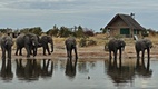 Elephant Sands