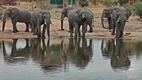 Elephant Sands